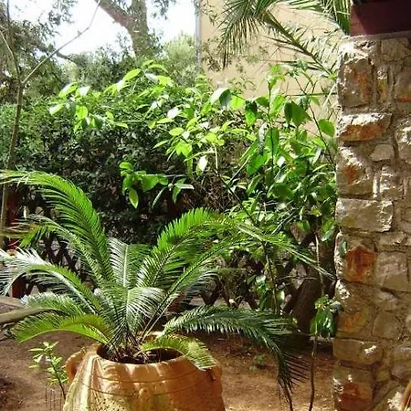 Apartmán In With Terrace, Air Conditioning, Wifi, Washing Machine 4913-2 *