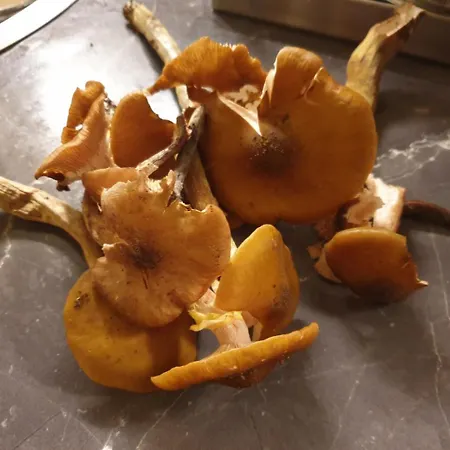 In With Terrace, Air Conditioning, Wifi, Washing Machine 4913-2 *