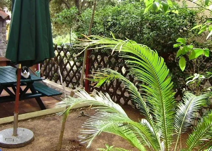 In With Terrace, Air Conditioning, Wifi, Washing Machine 4913-2 Lägenhet *