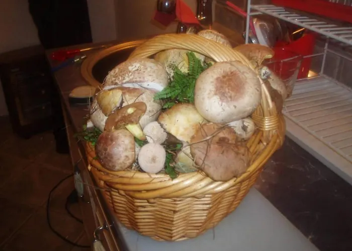 In With Terrace, Air Conditioning, Wifi, Washing Machine 4913-2 Mali Lošinj