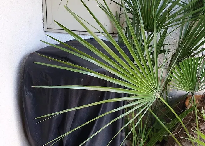 In With Terrace, Air Conditioning, Wifi, Washing Machine 4913-2 * Mali Lošinj