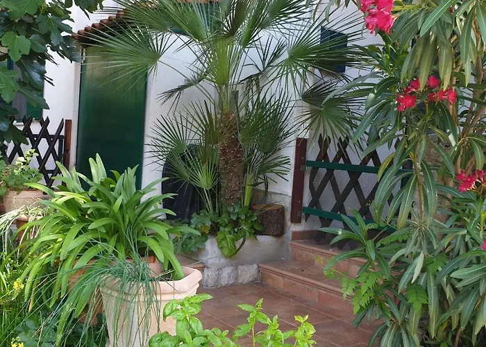 In With Terrace, Air Conditioning, Wifi, Washing Machine 4913-2 Lägenhet *