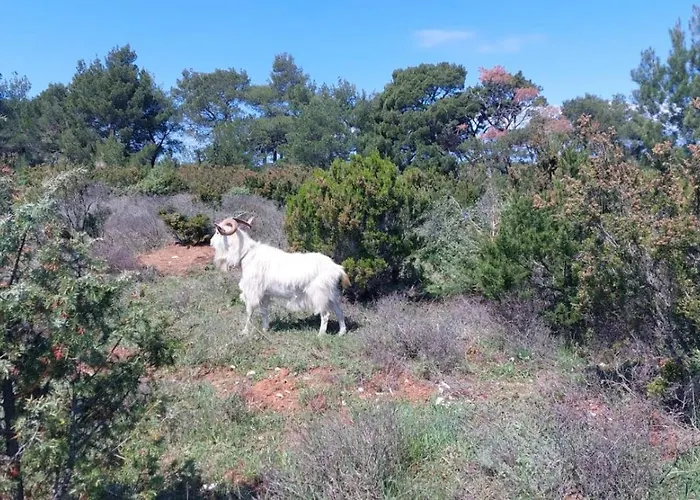 Lägenhet In With Terrace, Air Conditioning, Wifi, Washing Machine 4913-2 *