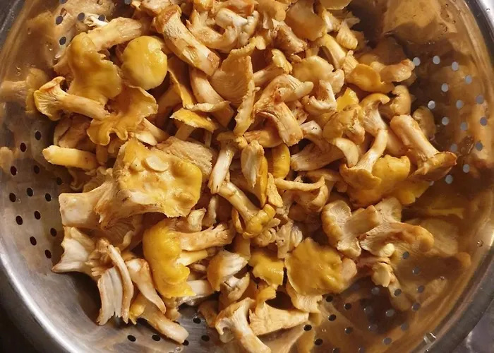 Lägenhet In With Terrace, Air Conditioning, Wifi, Washing Machine 4913-2 Mali Lošinj