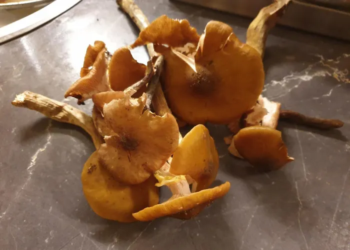 In With Terrace, Air Conditioning, Wifi, Washing Machine 4913-2 *