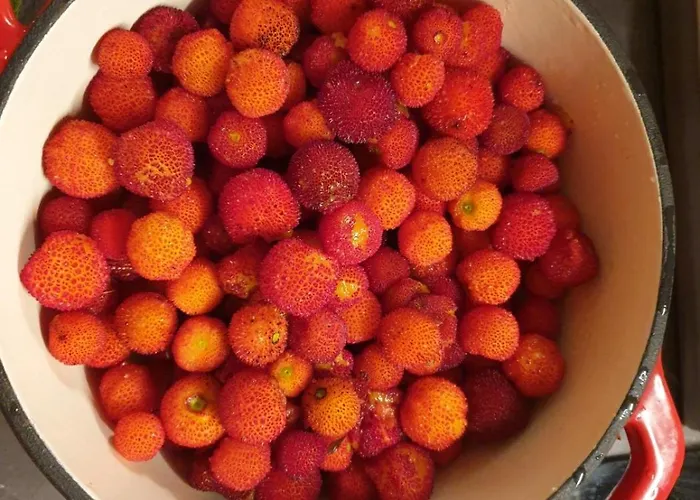 In With Terrace, Air Conditioning, Wifi, Washing Machine 4913-2 * Mali Lošinj