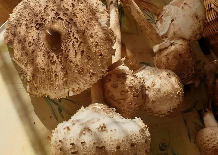 Lägenhet In With Terrace, Air Conditioning, Wifi, Washing Machine 4913-2