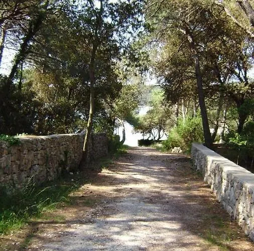 Apartman In With Terrace, Air Conditioning, Wifi, Washing Machine 4913-2 Mali Lošinj